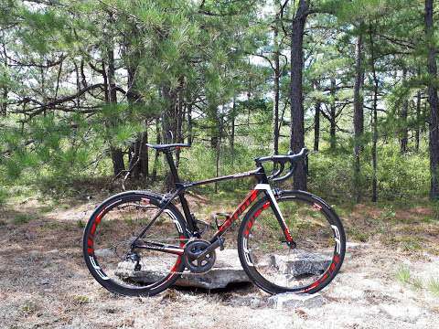 Pitch Pine Ecological Reserve